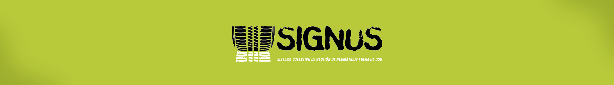 SIGNUS BANNER WEB 2560px